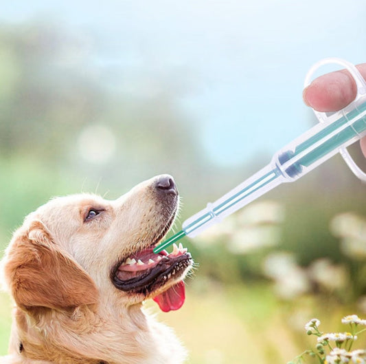 How to Give Medicine to a Sick Pet