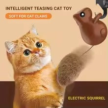 How to Choose the Best Cat Toys? The Ultimate Guide for Your Feline Friend