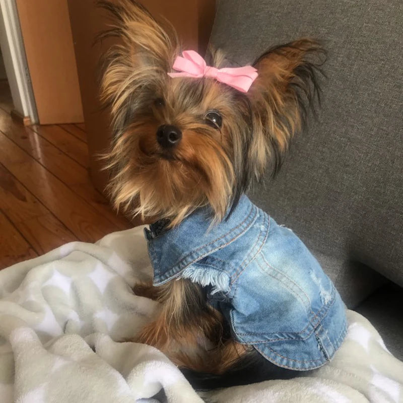 Summer Denim Dog Shirt for Small Dogs. A0020