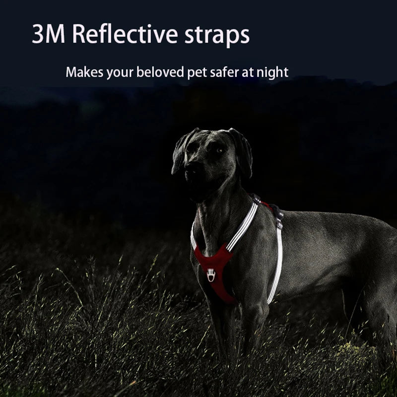 No-Pull Reflective Dog Harness A0181