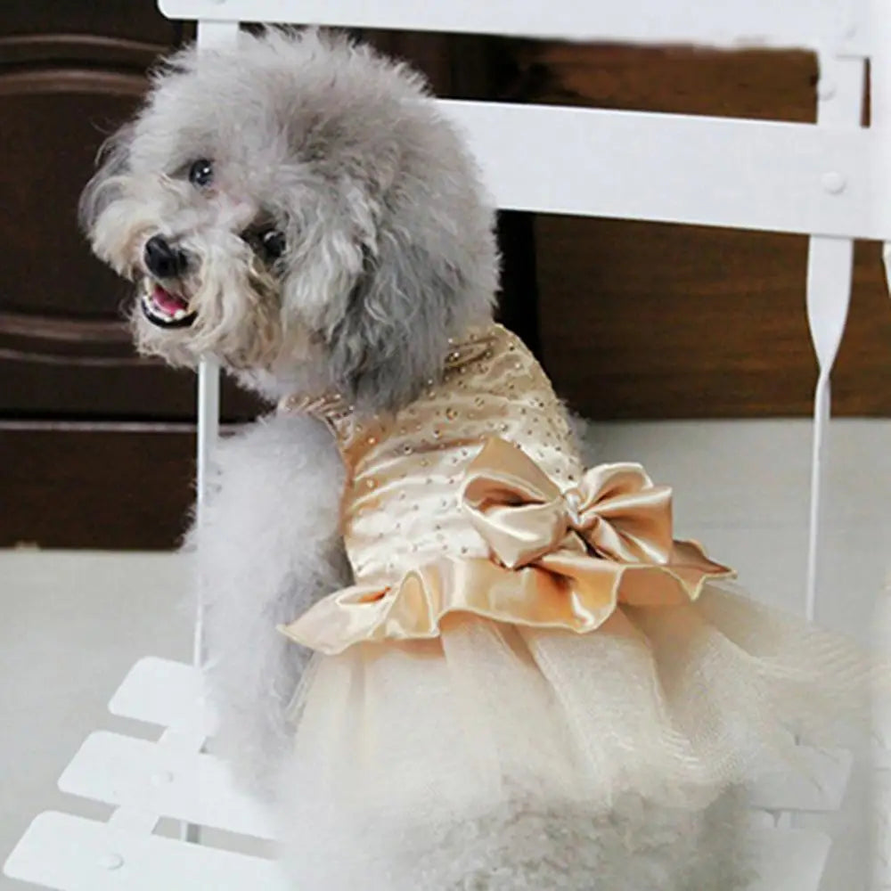 Princess Wedding Dress For Small Dogs A0188