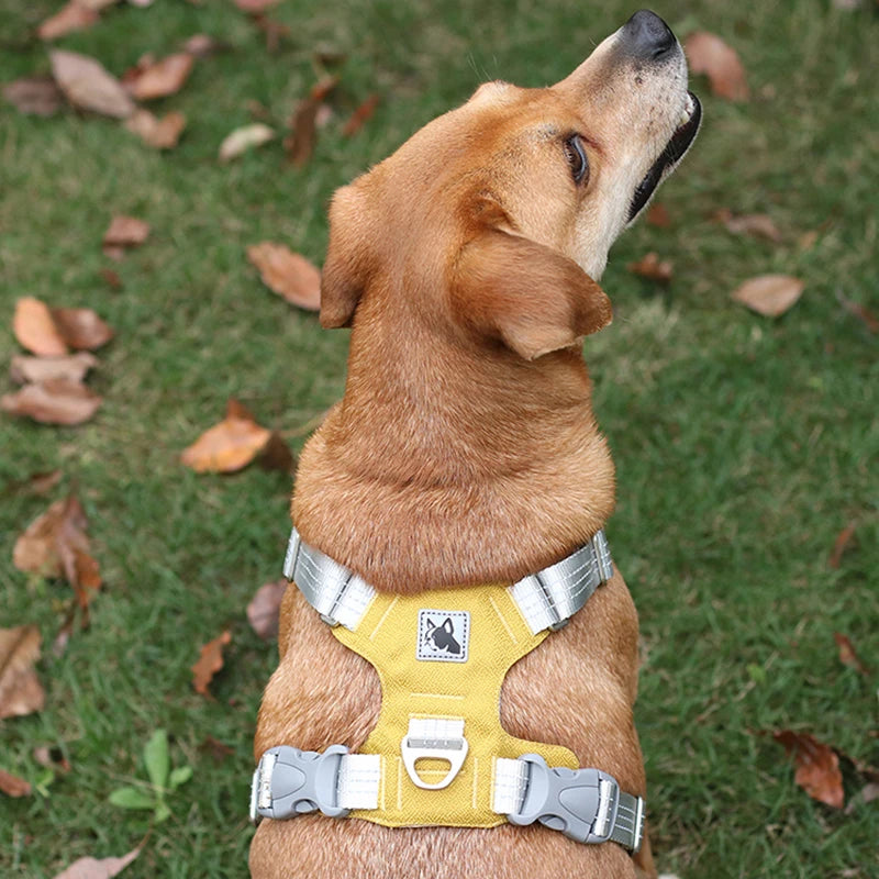 No-Pull Reflective Dog Harness A0181