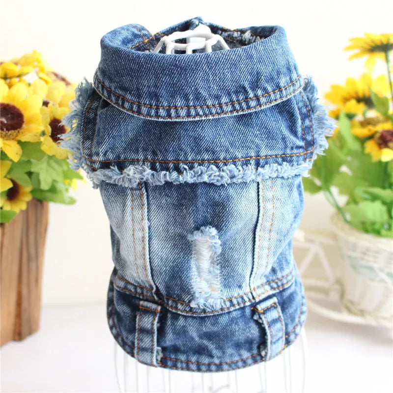 Summer Denim Dog Shirt for Small Dogs. A0020