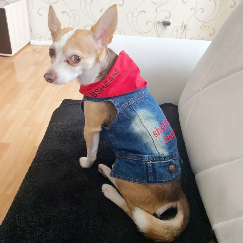 Summer Denim Dog Shirt for Small Dogs. A0020