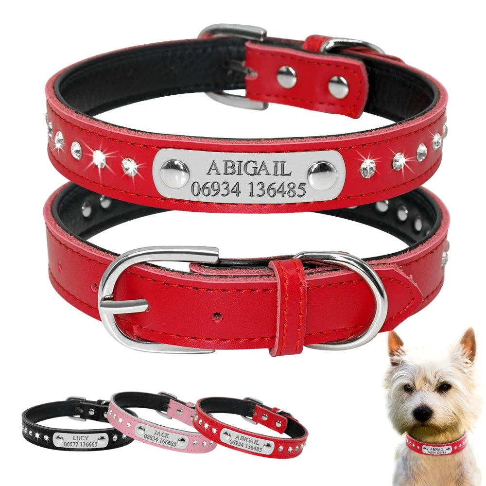 Personalized Leather Dog Collar A0053