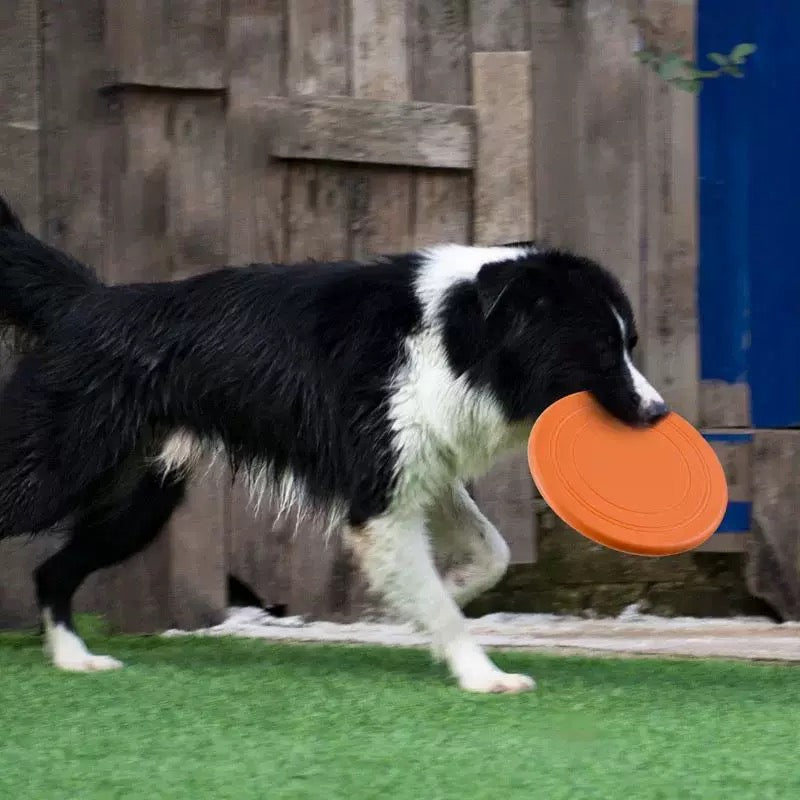 Dog Flying Disc A0336