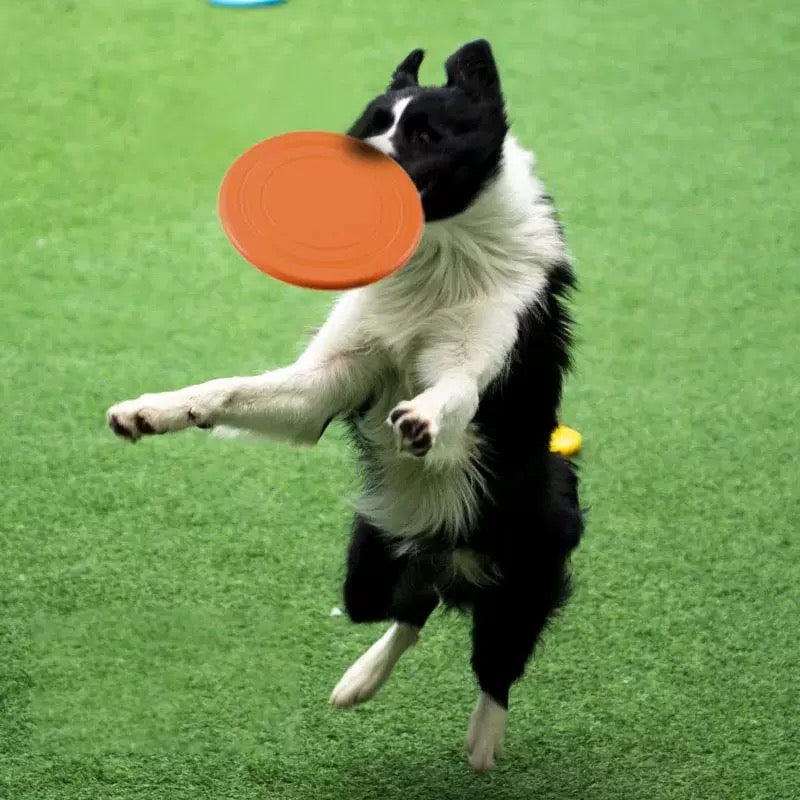 Dog Flying Disc A0336