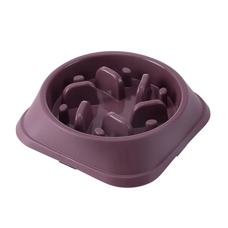 Slow Food Bowl for Pets A0302