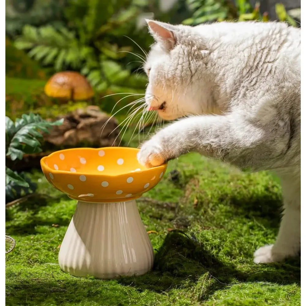 Mushroom Cat Bowl A0383