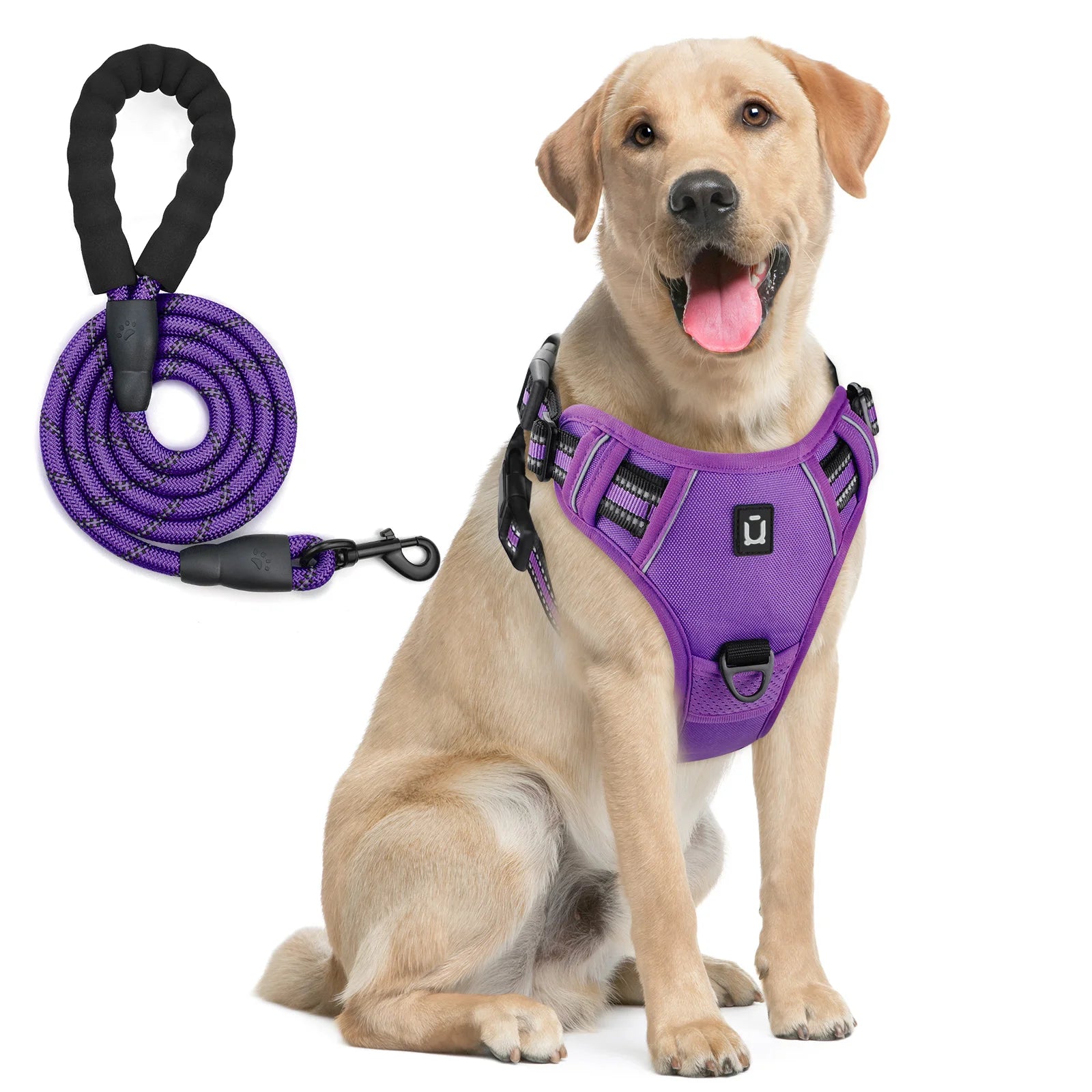 No-Pull Dog Harness & Leash A0040