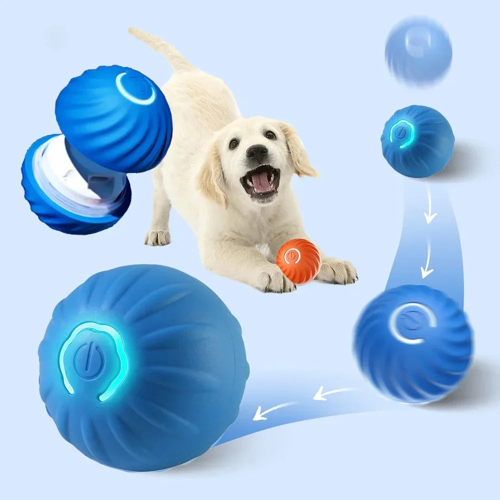 Interactive Dog Toy Ball for Puppies A0433