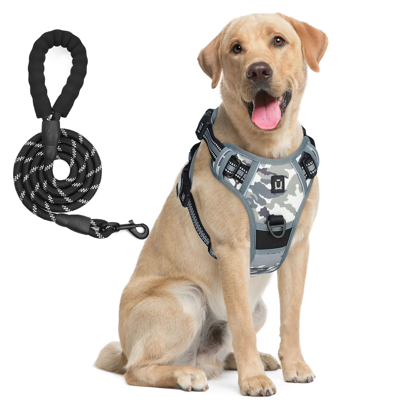 No-Pull Dog Harness & Leash A0040