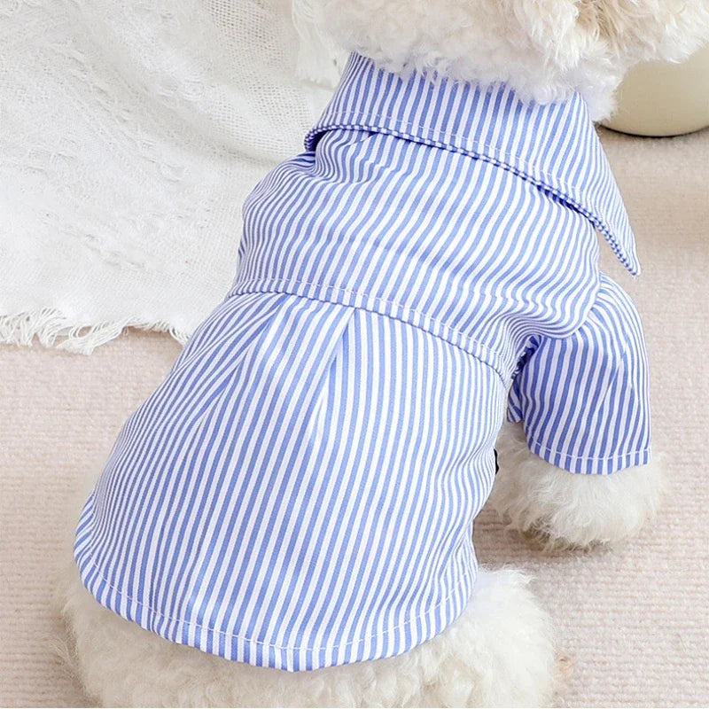 Striped Dog Bowknot Shirt. A0025