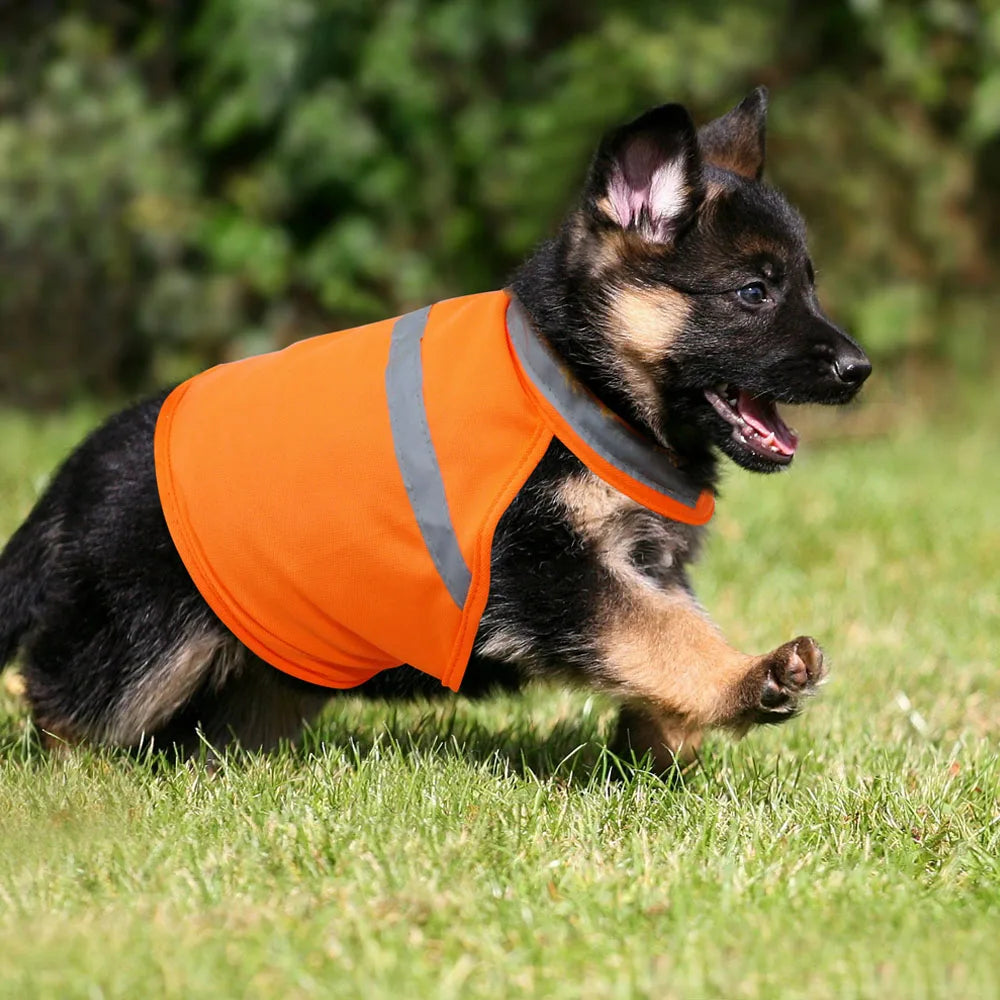 Reflective Dog Vest, Outdoor Safety. A0019