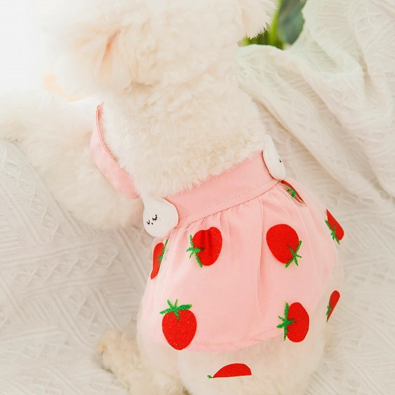 Summer Strawberry Dog Dress A0264