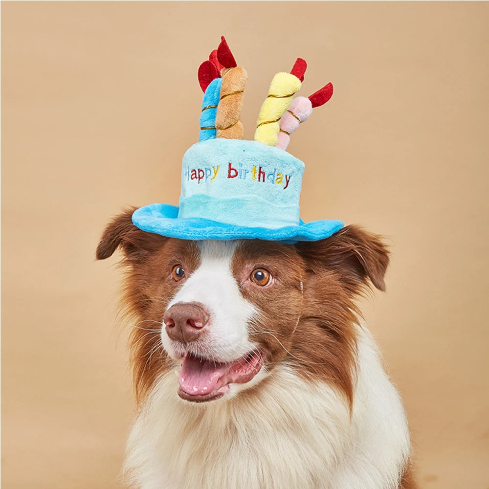 Cute Dog Birthday Hat Toy A0237