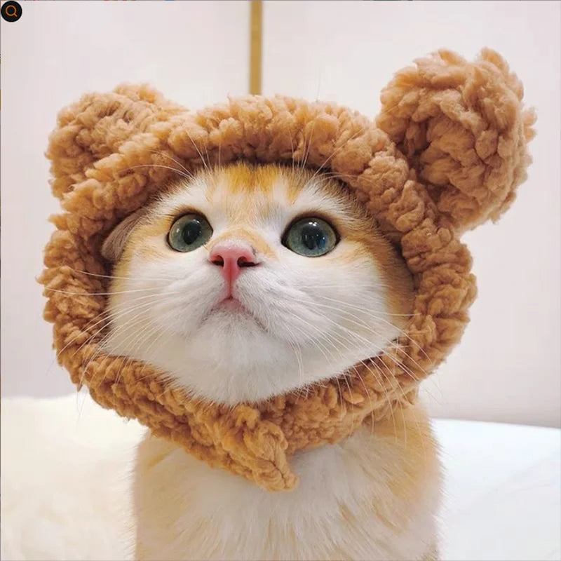 Cute Bear Hat for Pets A0190