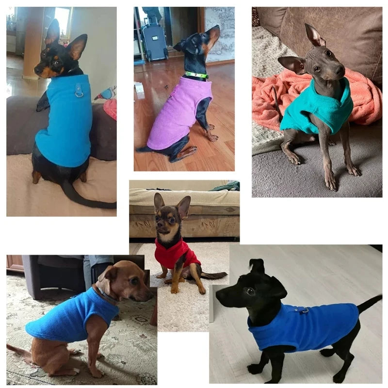 Winter Frenchie Fleece Vest for Small Pets A0143