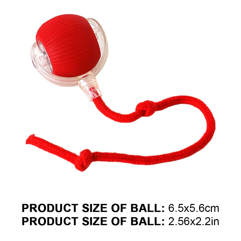 Rechargeable Interactive Cat Ball A0323