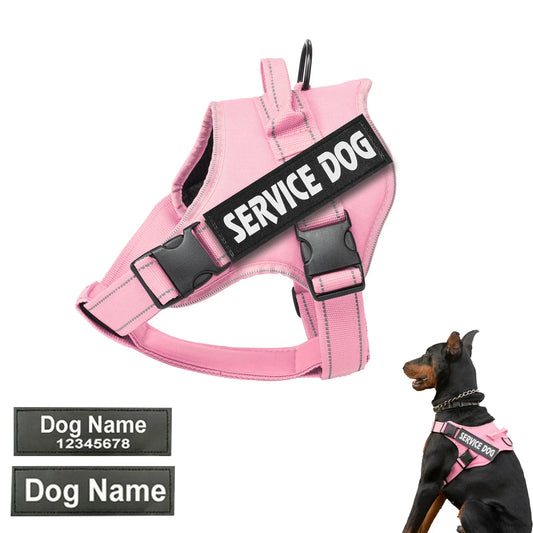 Personalized Dog Harness with Name Tag A0430