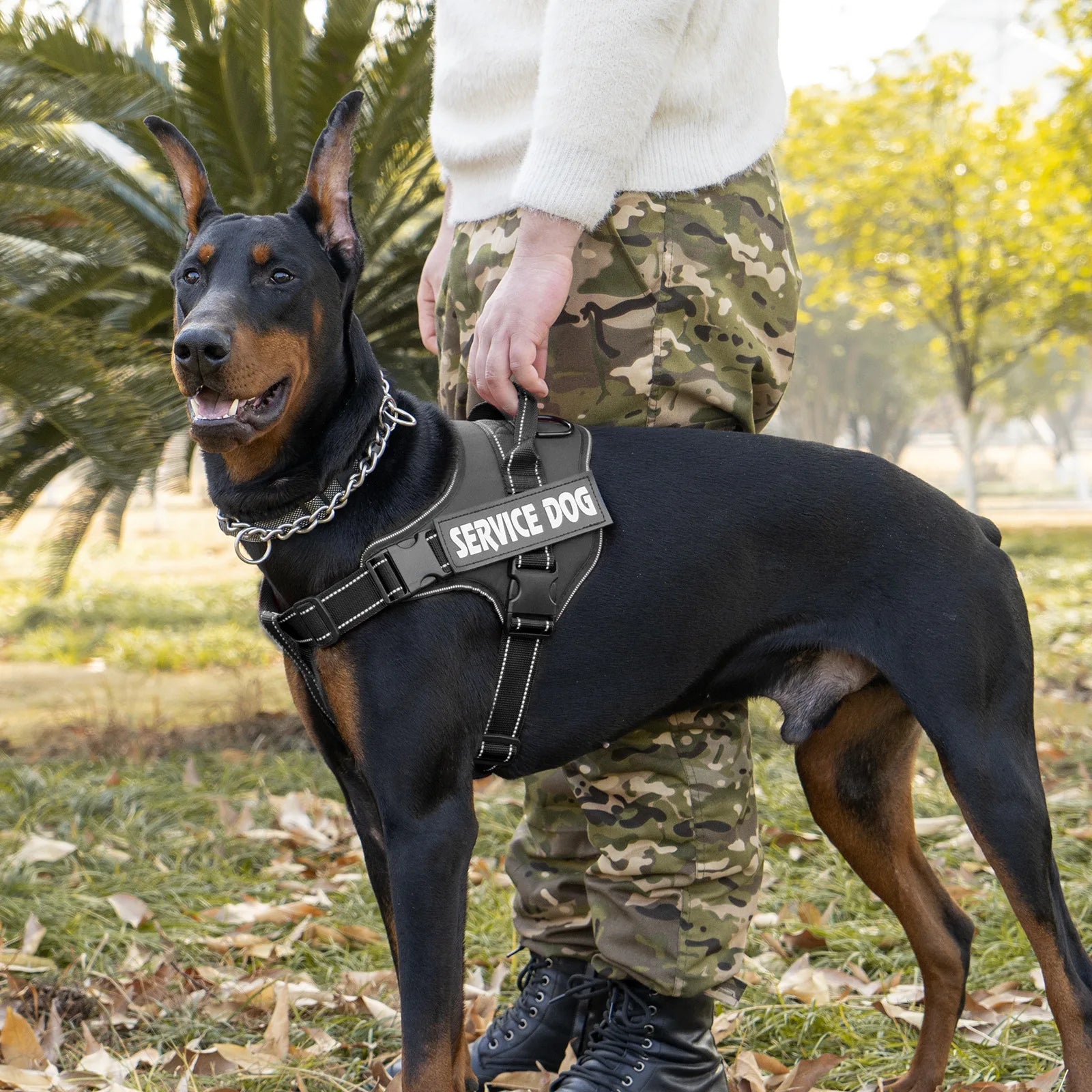 Personalized Dog Harness with Name Tag A0430