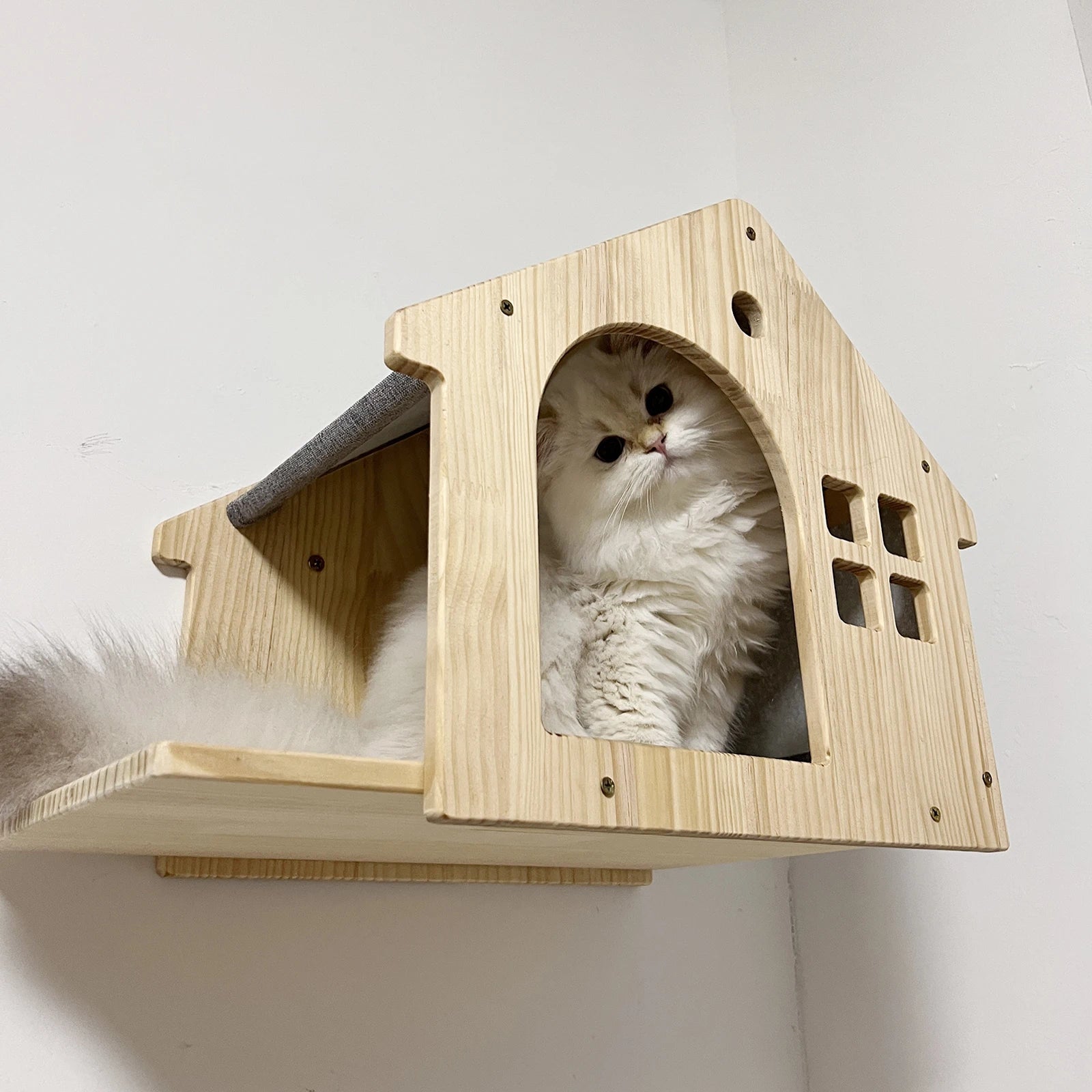 Wall-Mounted Wooden Cat Condo A0256