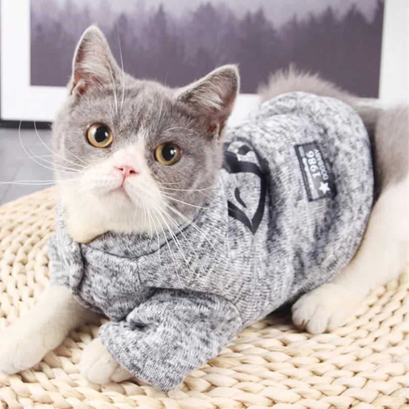 Classic Fleece Cat Sweater for Spring & Autumn A0128