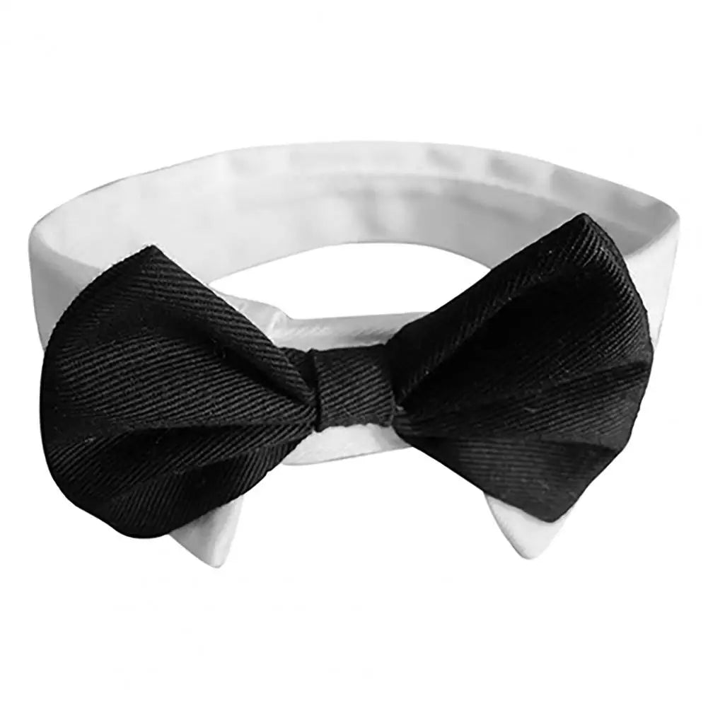 Dog Bow Tie Tuxedo, Wedding Suit. A0024