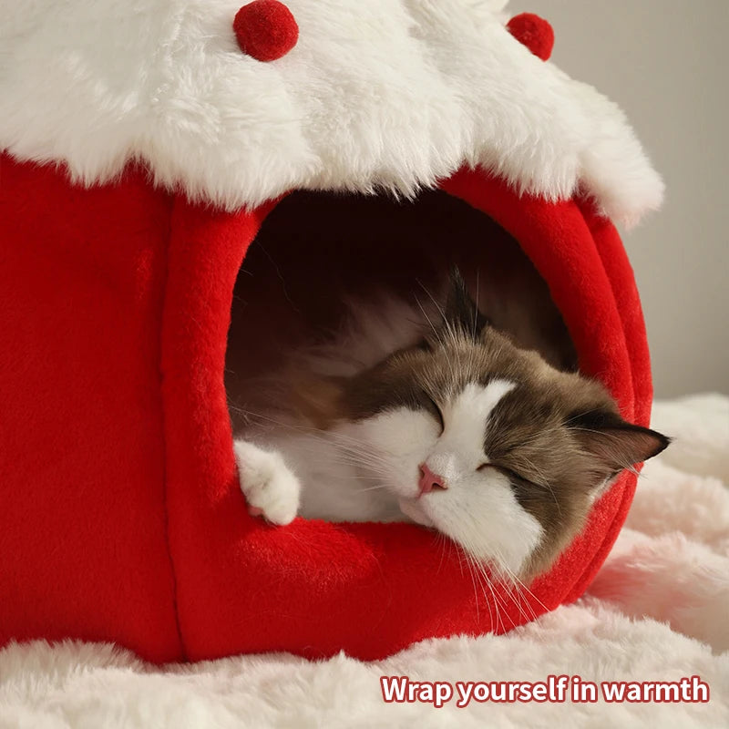 Cat House Enclosed Strawberry Bed A0378