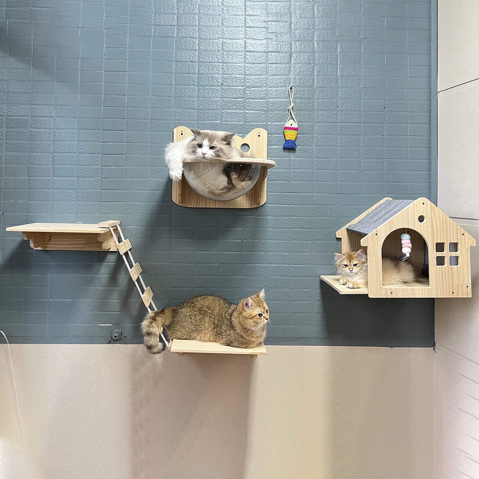 Wall-Mounted Wooden Cat Condo A0256