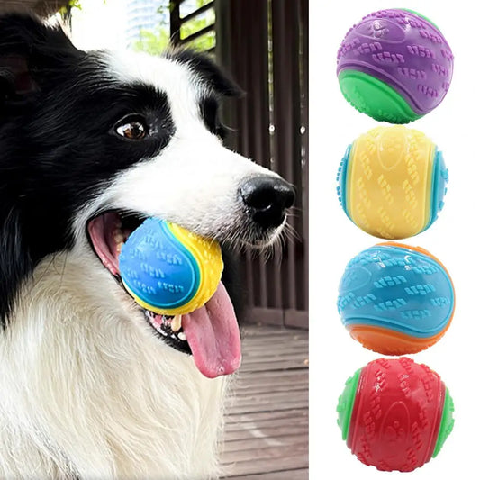 Bite-Resistant Squeak Ball for Dogs.A0160