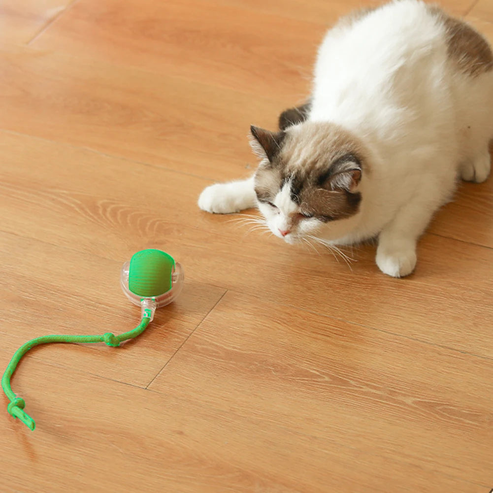 Rechargeable Interactive Cat Ball A0323