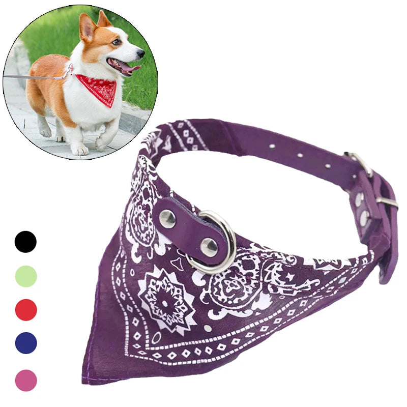 PU Cat & Dog Collar with Scarf  A0195