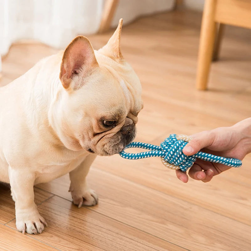 Cotton Rope Dog Toy A0214