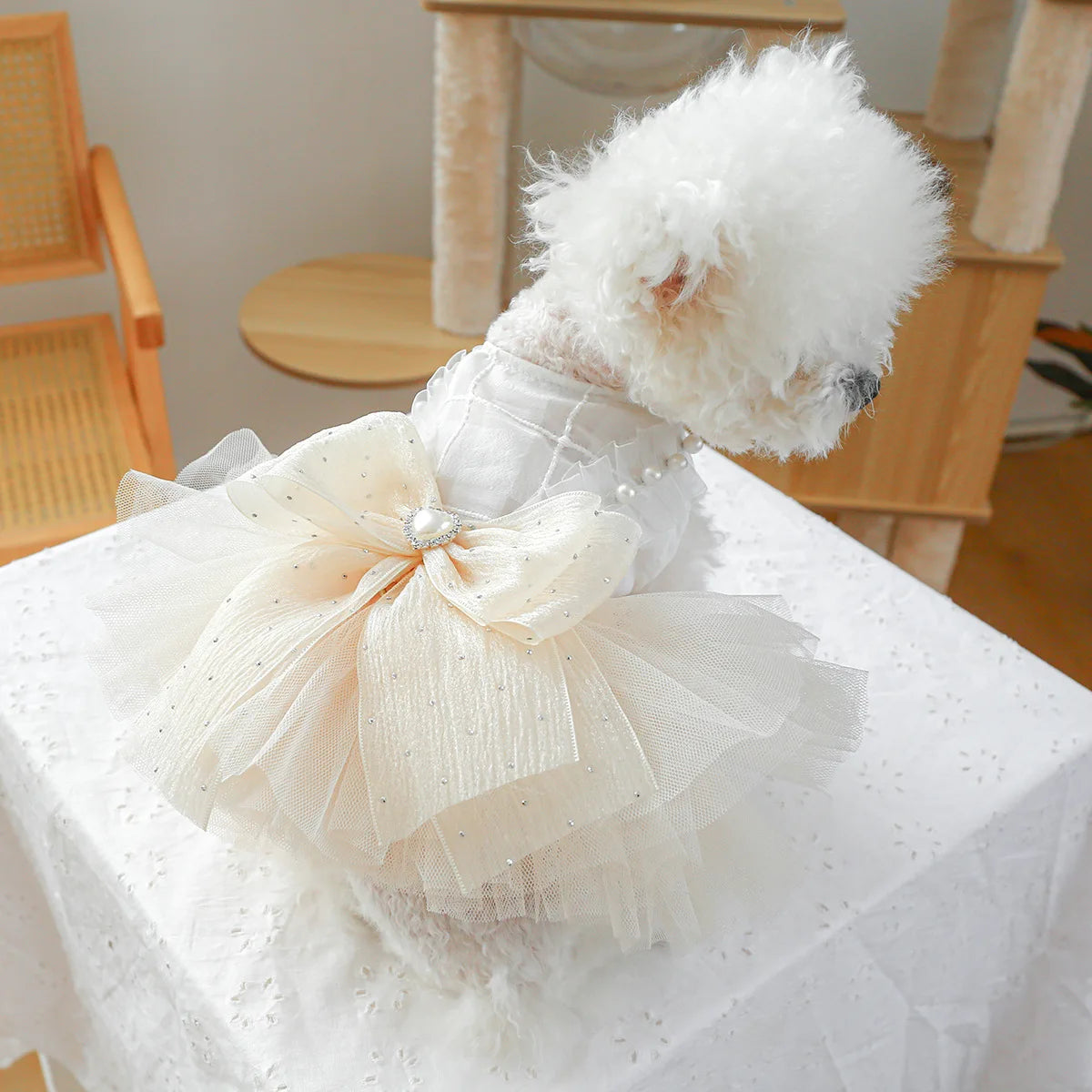 Spring & Summer Princess Dog Dress A0265