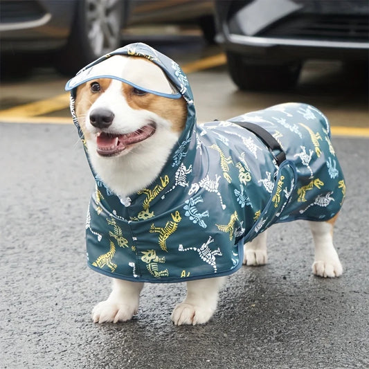 Dinosaur Dog Raincoat A0083