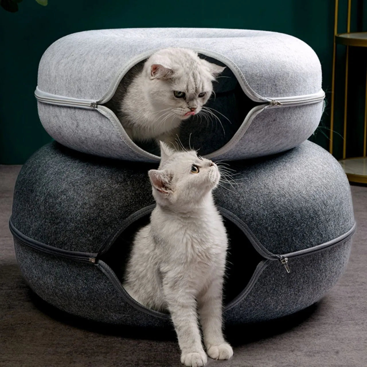 Donut Cat Bed & Tunnel A0252