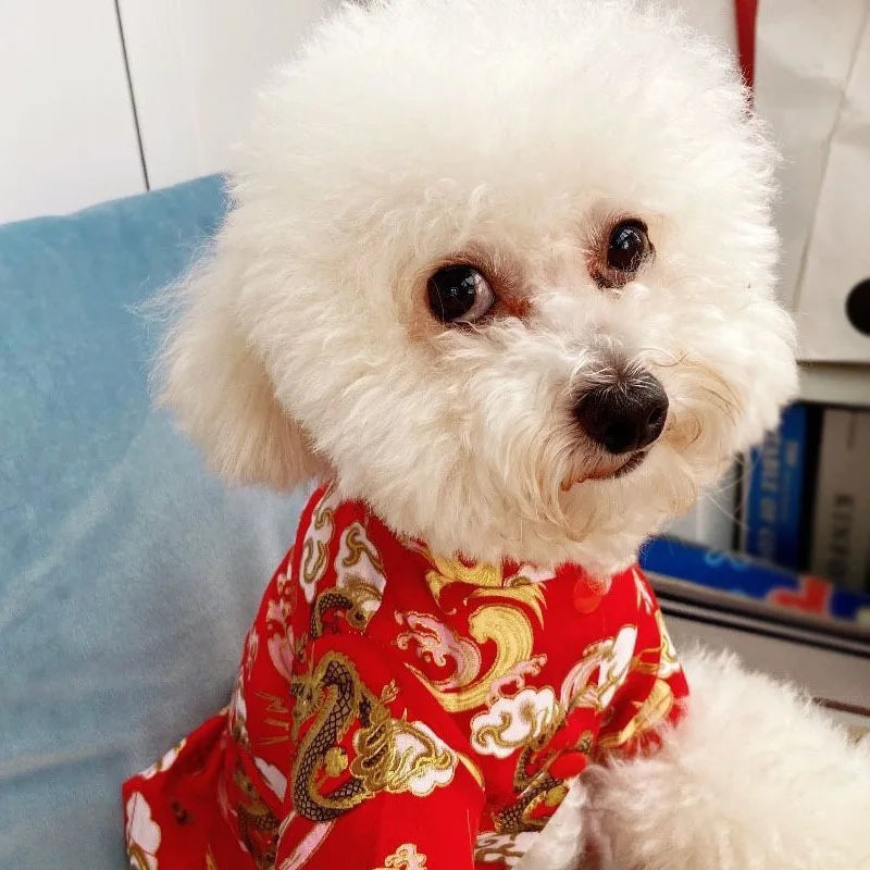 Winter Chinoiserie Dog Jacket A0035