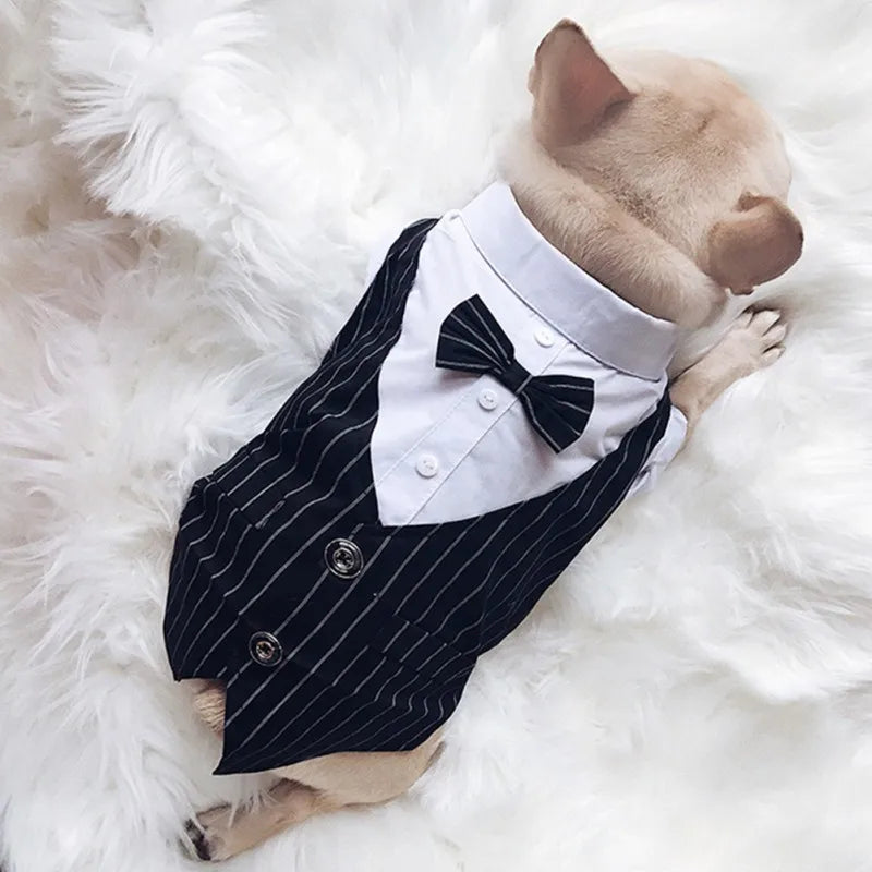 Striped Dog Shirt with Bow Tie A0172