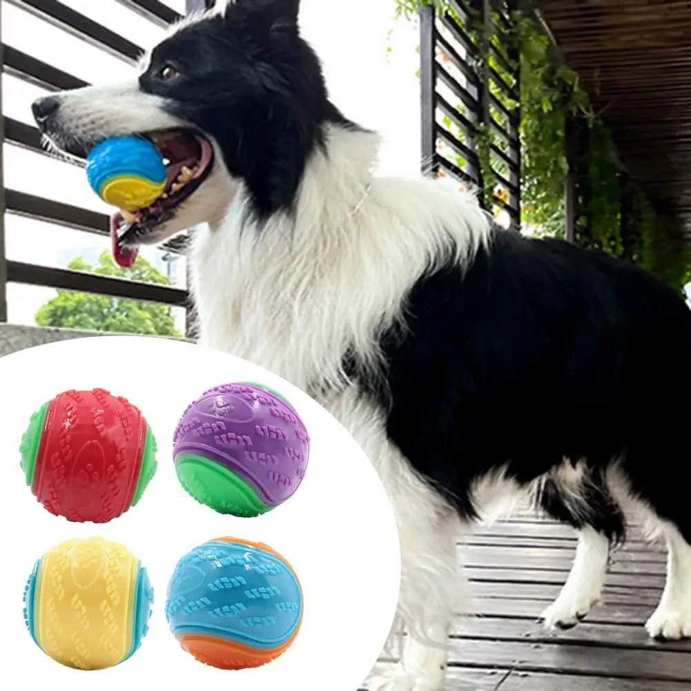 Bite-Resistant Squeak Ball for Dogs.A0160