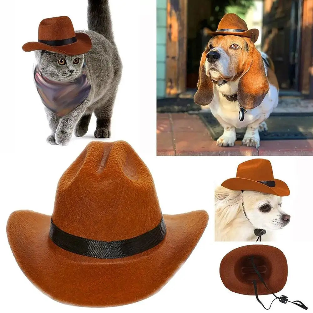 Funny Pet Cowboy Hat A0211