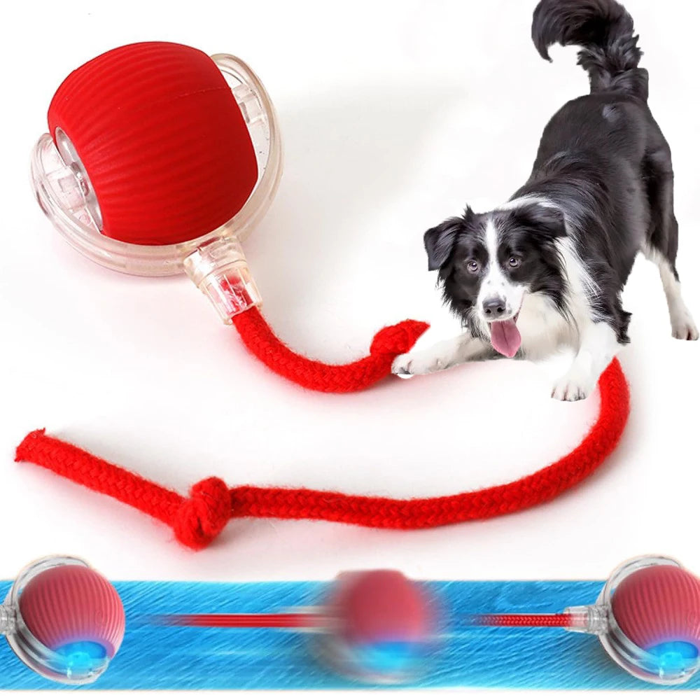 Electric Interactive Dog Ball A0052