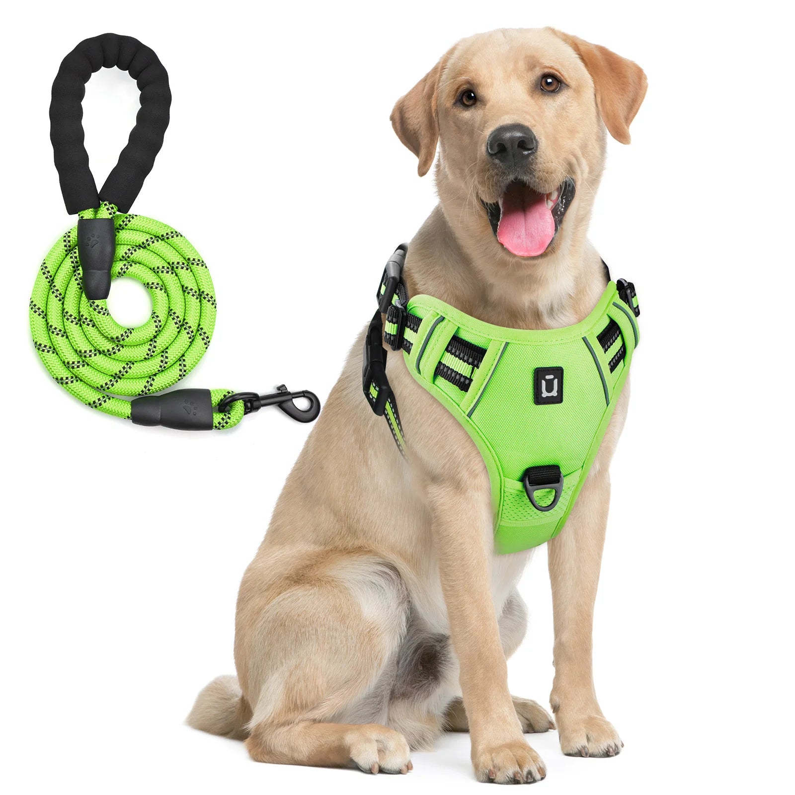 No-Pull Dog Harness & Leash A0040