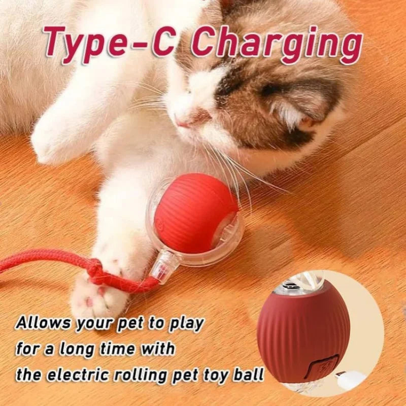 Electric Interactive Dog Ball A0052