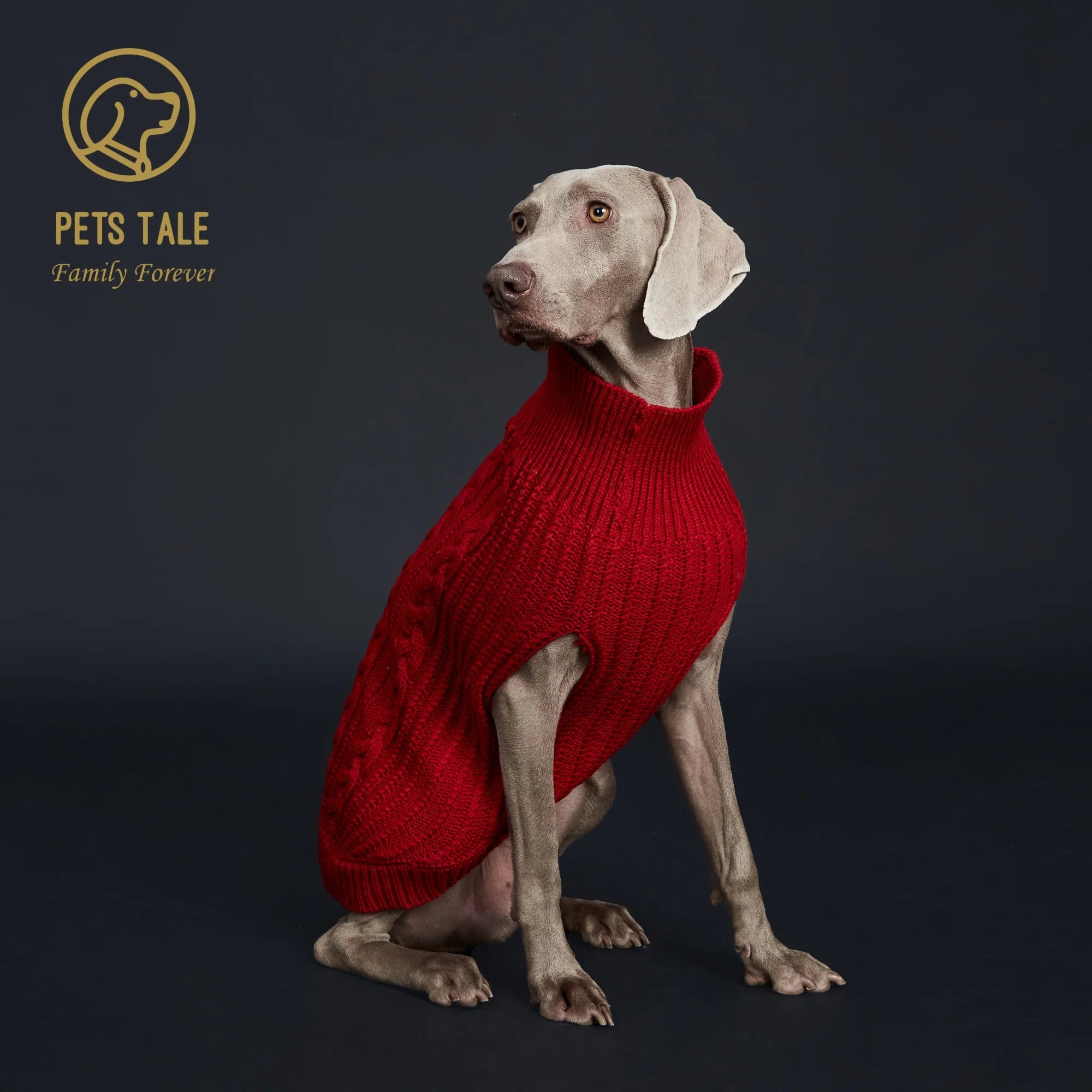 Knitted Pet Sweater A0179