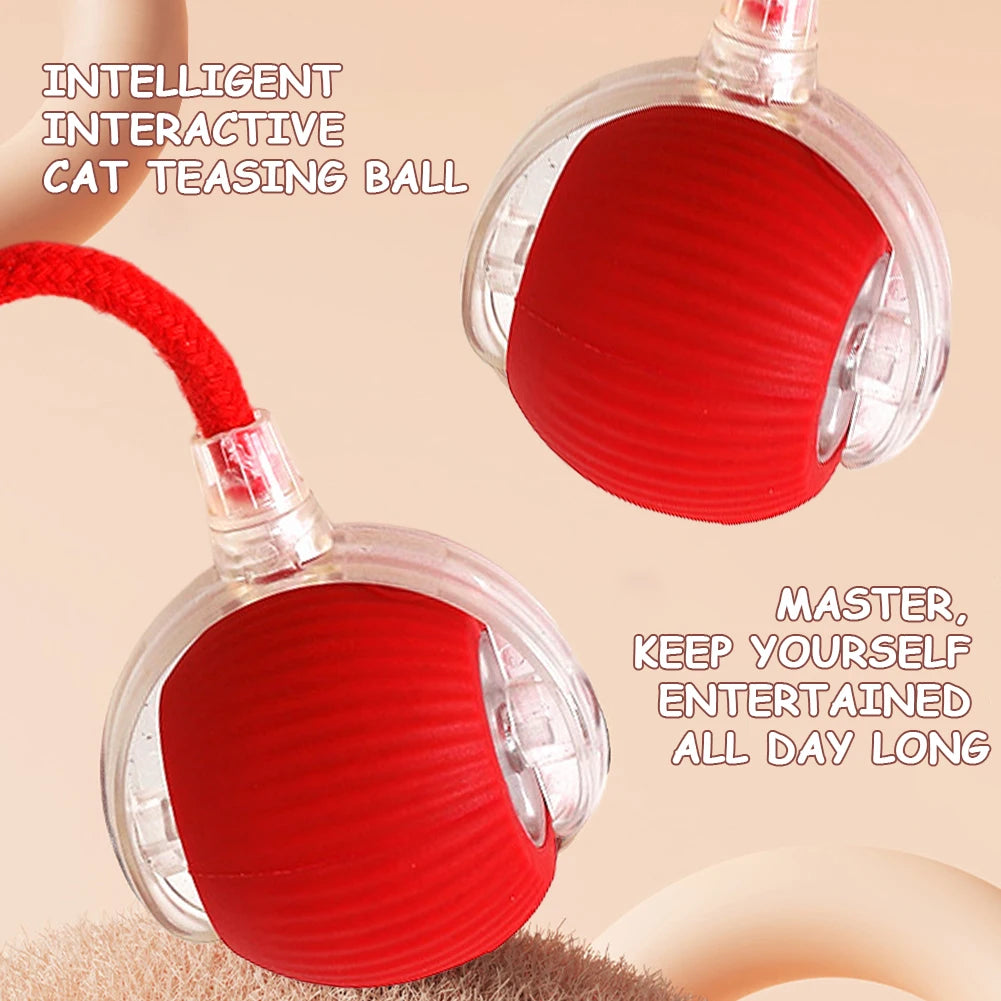 Rechargeable Interactive Cat Ball A0323