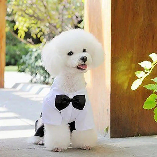 Dog Bow Tie Tuxedo, Wedding Suit. A0024