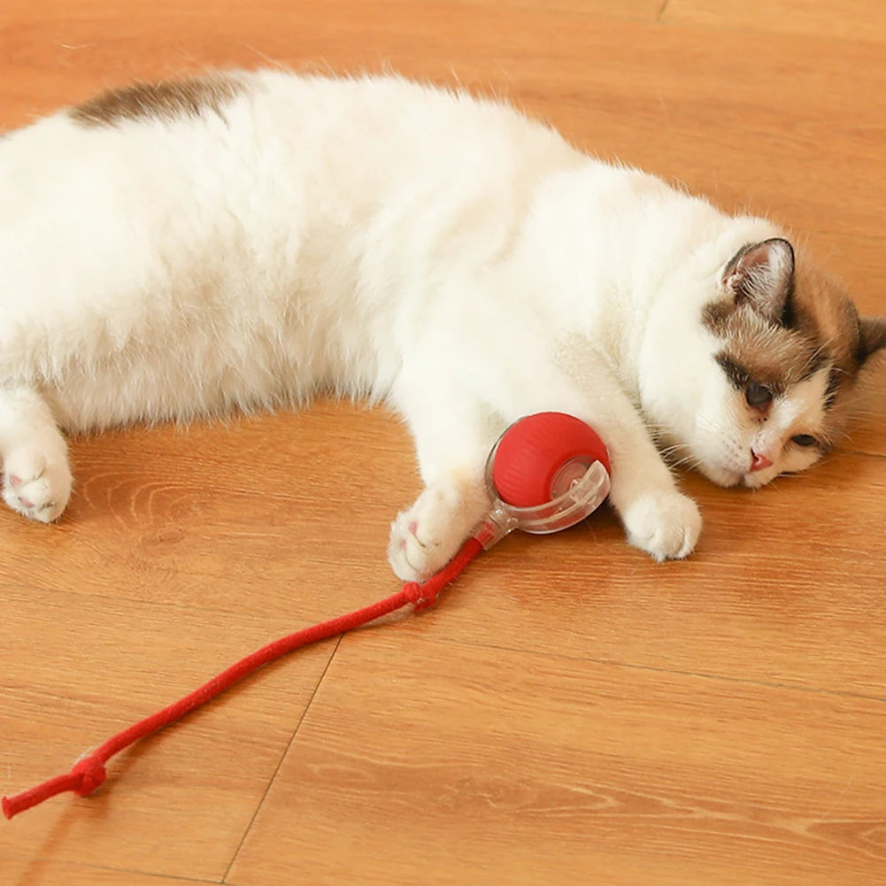 Rechargeable Interactive Cat Ball A0323