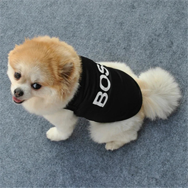 Summer Security Vest For Small Dogs A0187