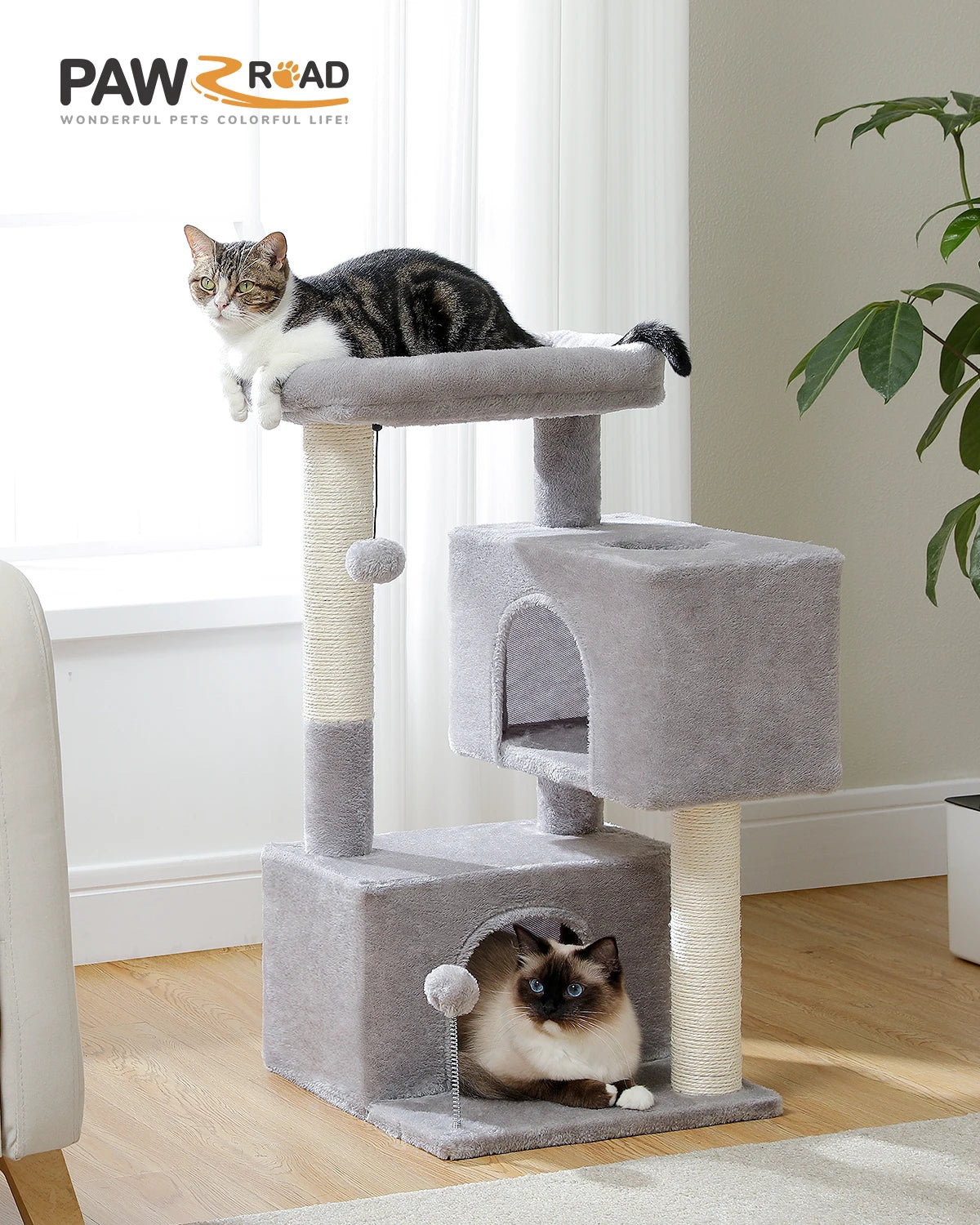 Cat Tower With Double Condo A0269